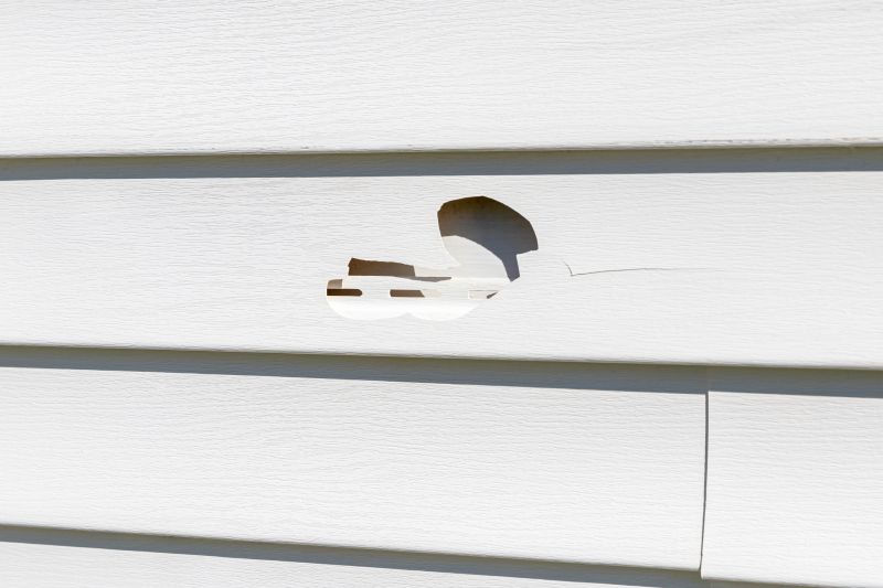 Vinyl Siding Repair Service