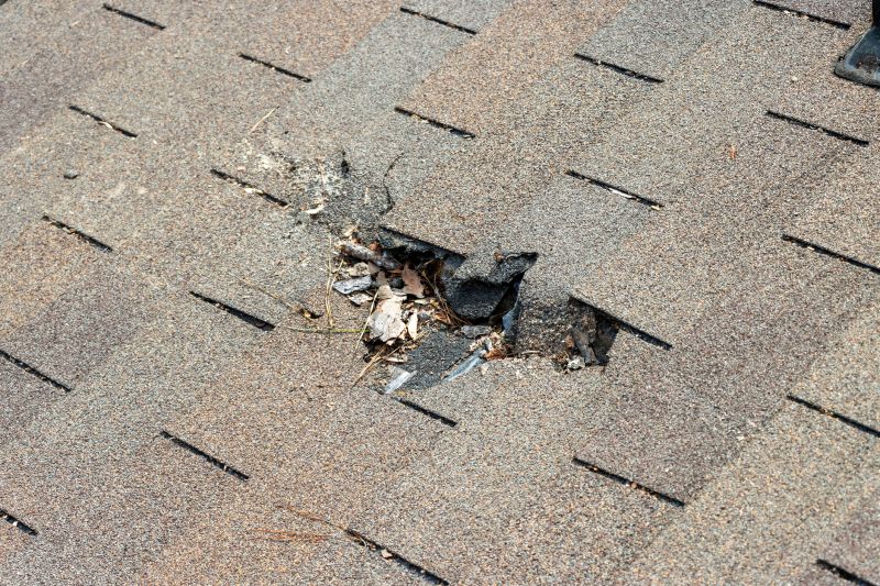 Damaged Roof Replacement in Fredericksburg, VA
