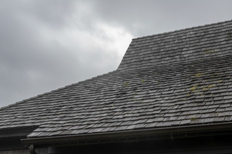 Cedar Shake Roof Replacement in Alexandria, VA