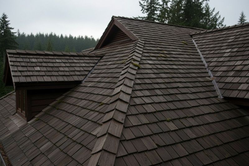 Cedar Shake Roof Replacement in Fredericksburg, VA